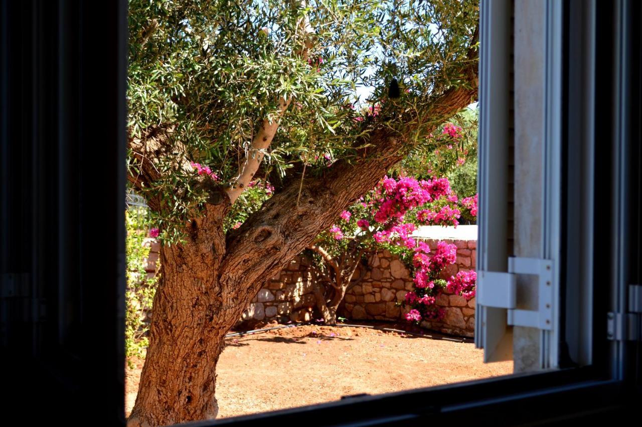 Villa Stamatis Agii Apostoli  Εξωτερικό φωτογραφία